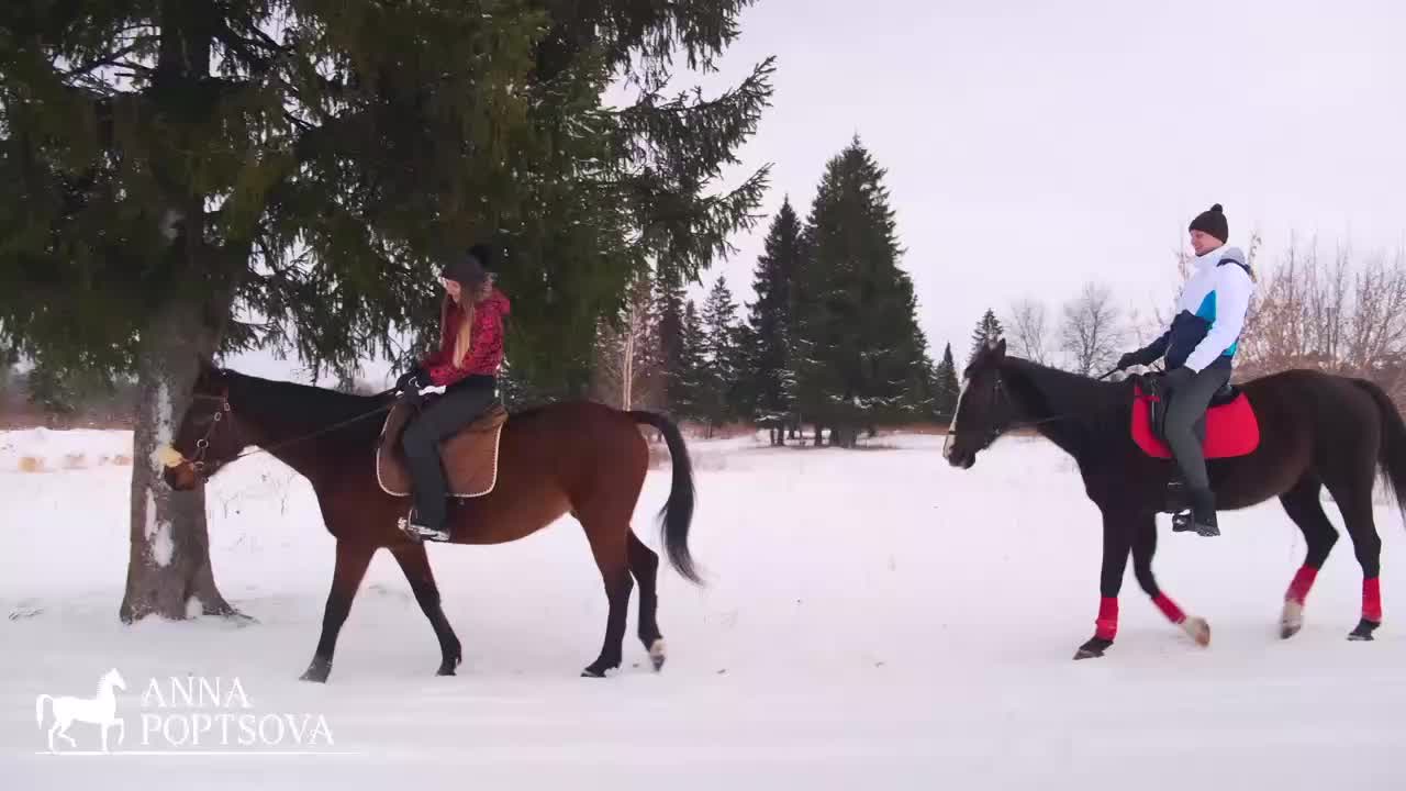 Конная прогулка на лошадях для двоих. Верховая езда в Ростове-на-Дону